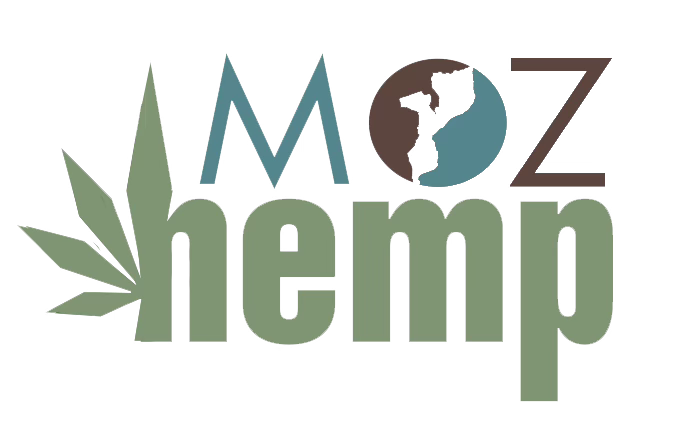 Company Name